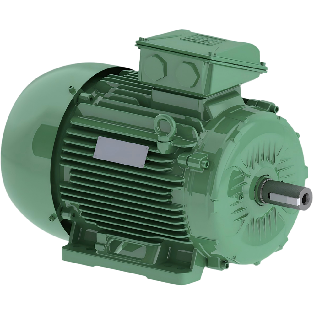 W21 Prime GB1效率感应电机