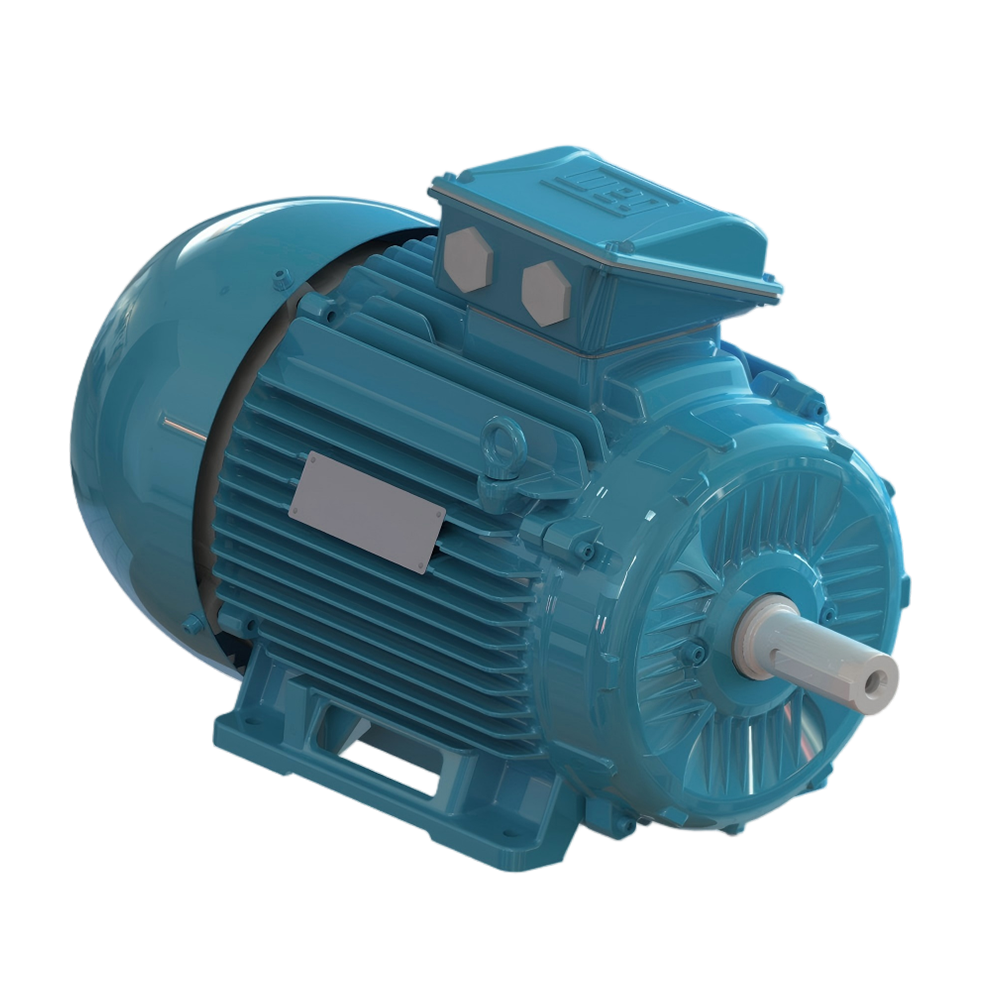 W21  Prime 系列铸铁机座电机